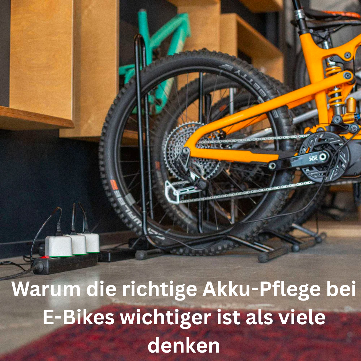 Mit dem Akku Life Guard E-Bikes sicherer und schonender laden